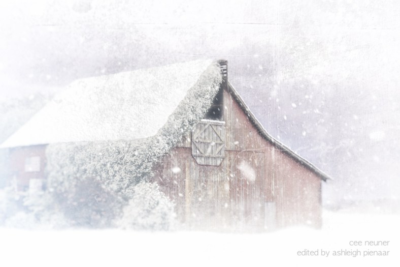 Ashleigh Pienaar, Through the Viewfinder