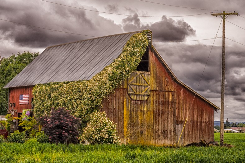 Cee Neuner, Cee's Photography