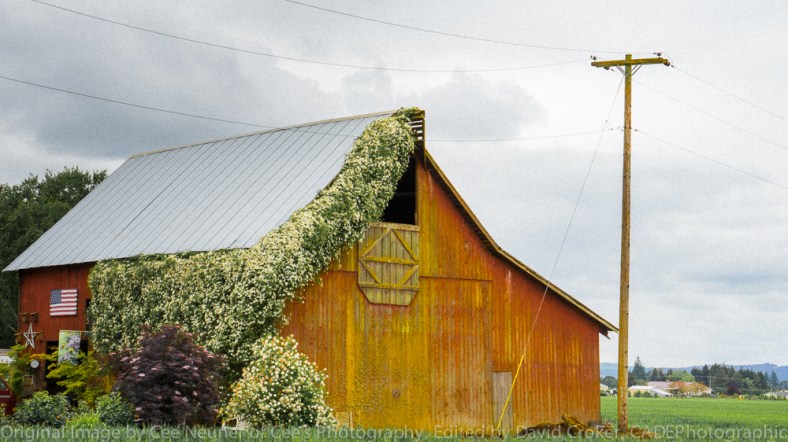 David Croker, CADEPhotographic