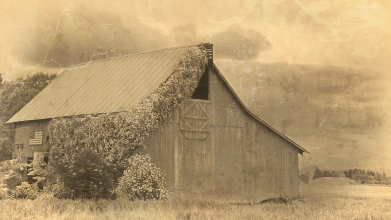 Emilio Pasquale, Photos by Emilio