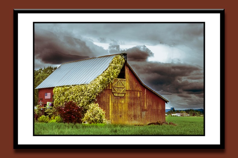 George McCane, Photoman401