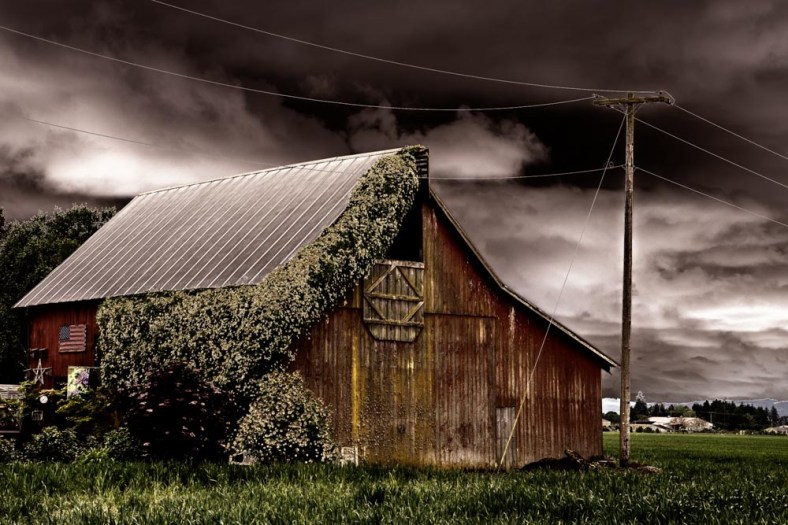 Klara, Sliku svoju ljubim II