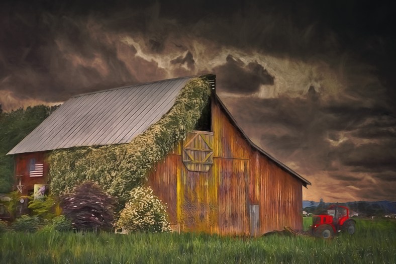 Laura Macky, Laura Macky Photography