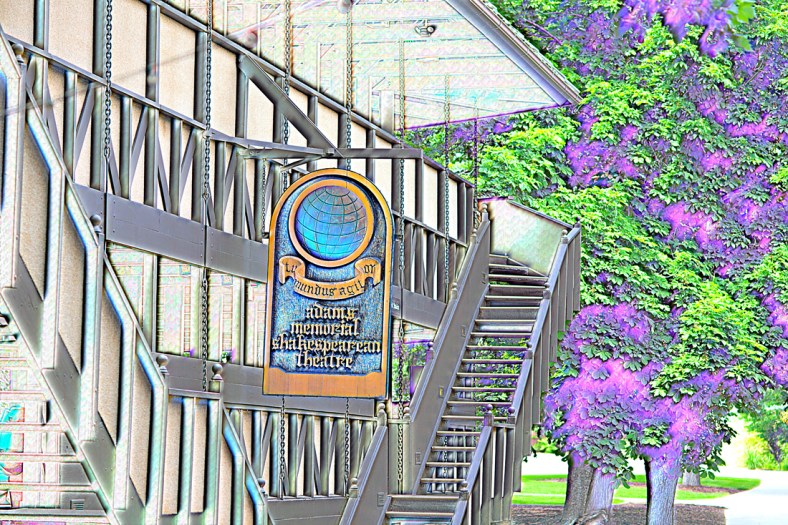 Michelle Lunato, Michelle Lunato Photography