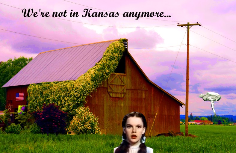 Natalie, Middle Europe