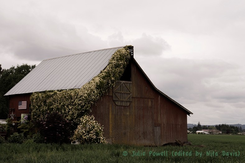 Nita Davis, Artistic Composition