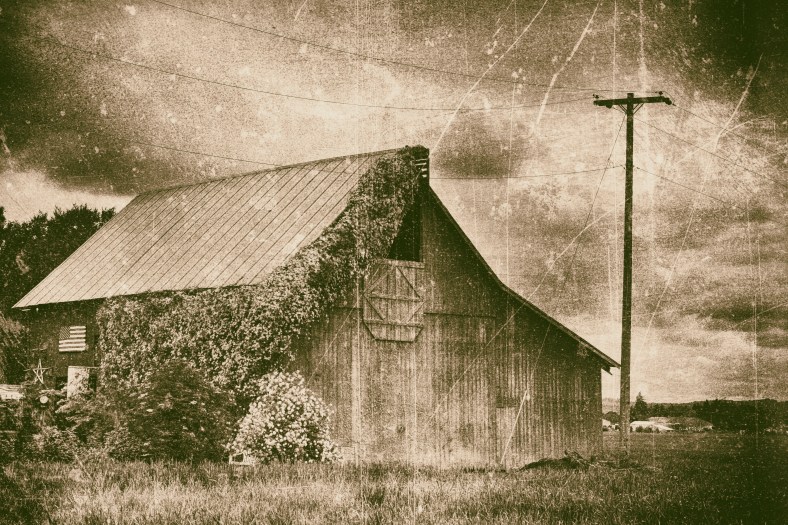 Raewyn Forbes, decocraftsdigicrafts