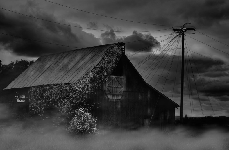 Reinhold Staden, Reinhold Staden Photography