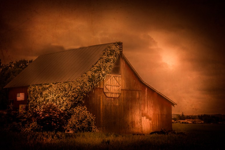 Bren Ryan, RyanPhotography