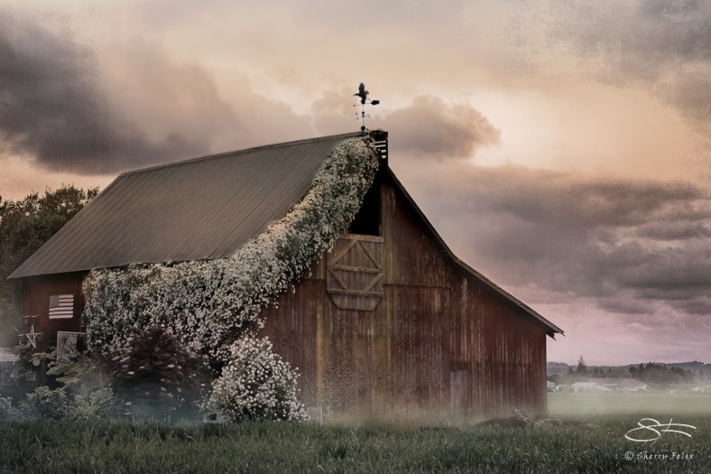 Sherry Felix, Port4u