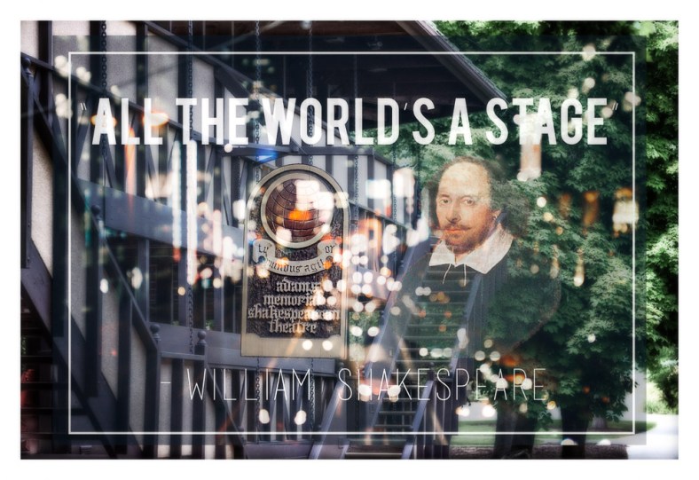 Stacy Fischer, Visual Venturing