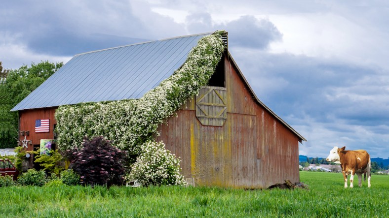 Yan Balczewski, From Hiding to Blogging