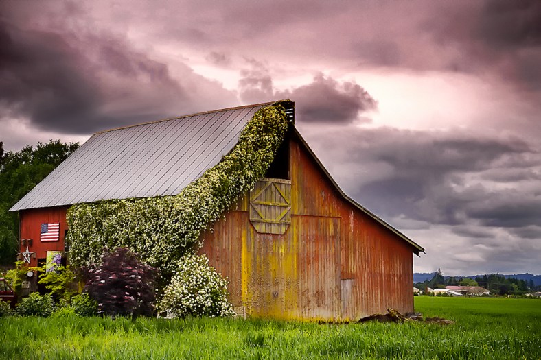 Ed Lehming, Ed Lehming Photography