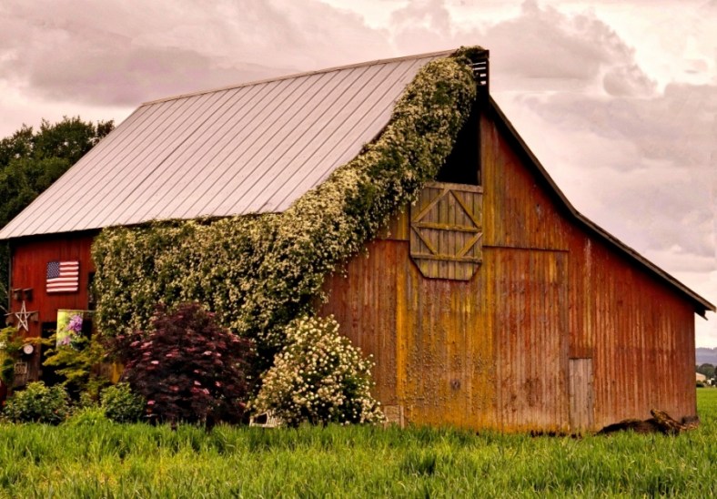 Linda James, Rainy Day Reflections