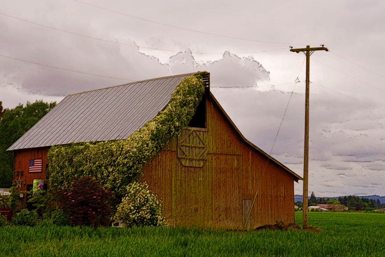 Michelle Lunato, Michelle Lunato Photography