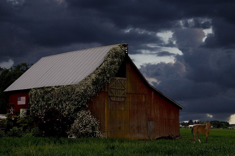 Sheila Z., offshoots12