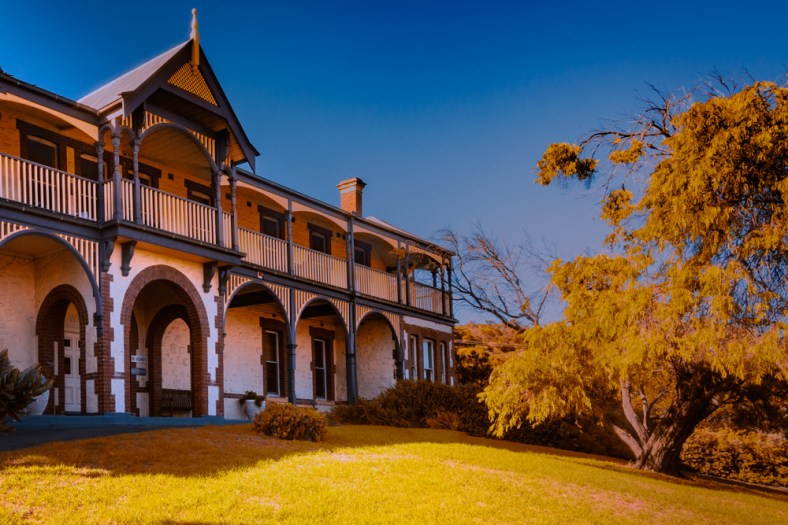 Cee Neuner, Cee's Photography