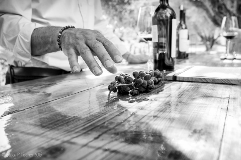 Lesson in the art and science of growing grapes at Spring Mountain Vineyard