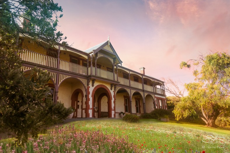 Sherry Felix, Port4u