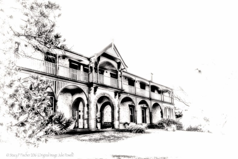 Stacy Fischer, Visual Venturing