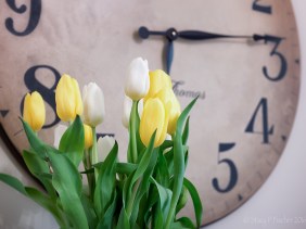 yellow and white tulips against background of clock