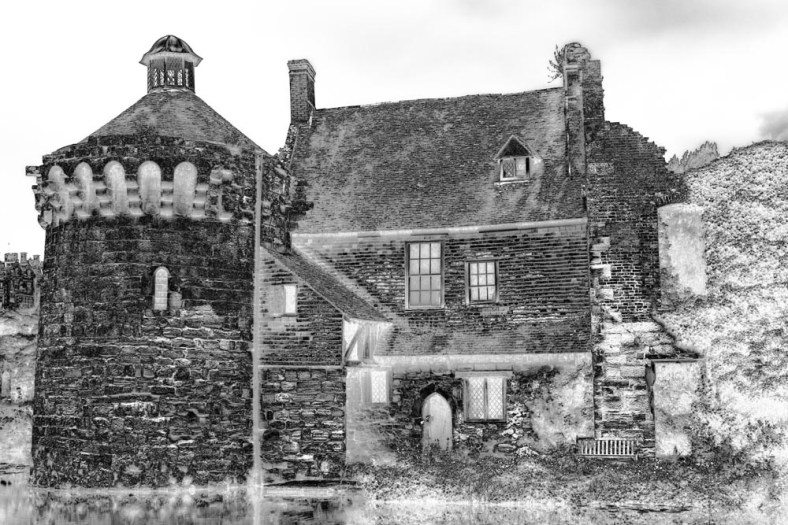 Amy, The World Is a Book