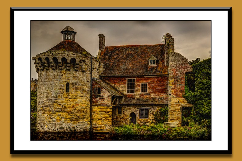 George McCane, Photoman401