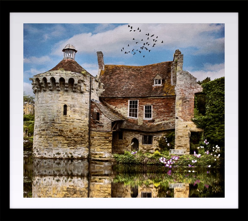 Julie Powell, Julie Powell Photography