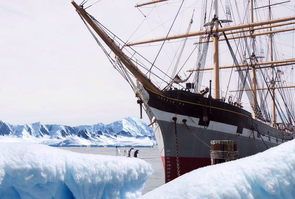 Bud, A Young Retirement