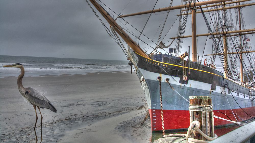 Kate Illes -- Kate - Photography