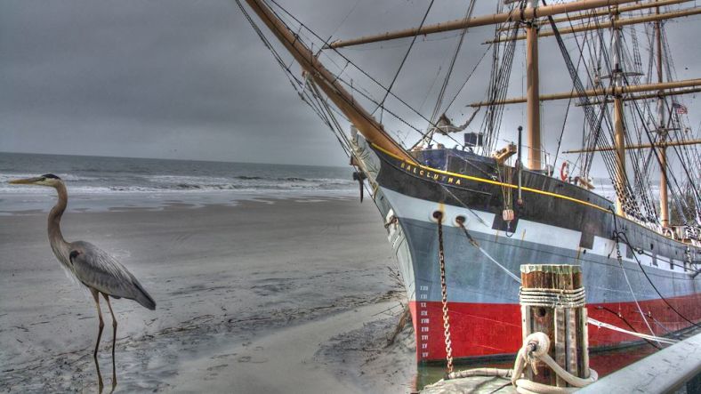 Kate Illes -- Kate - Photography