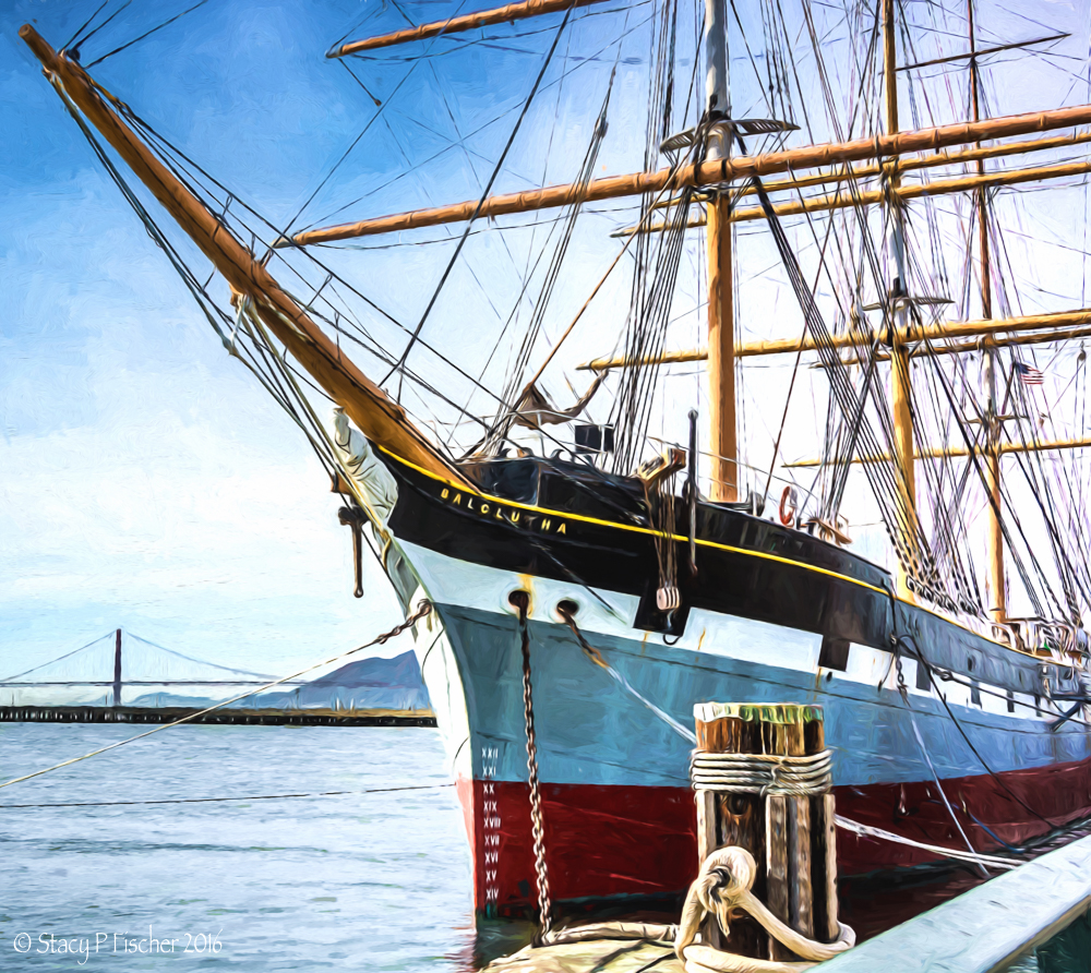 Stacy Fischer, Visual Venturing