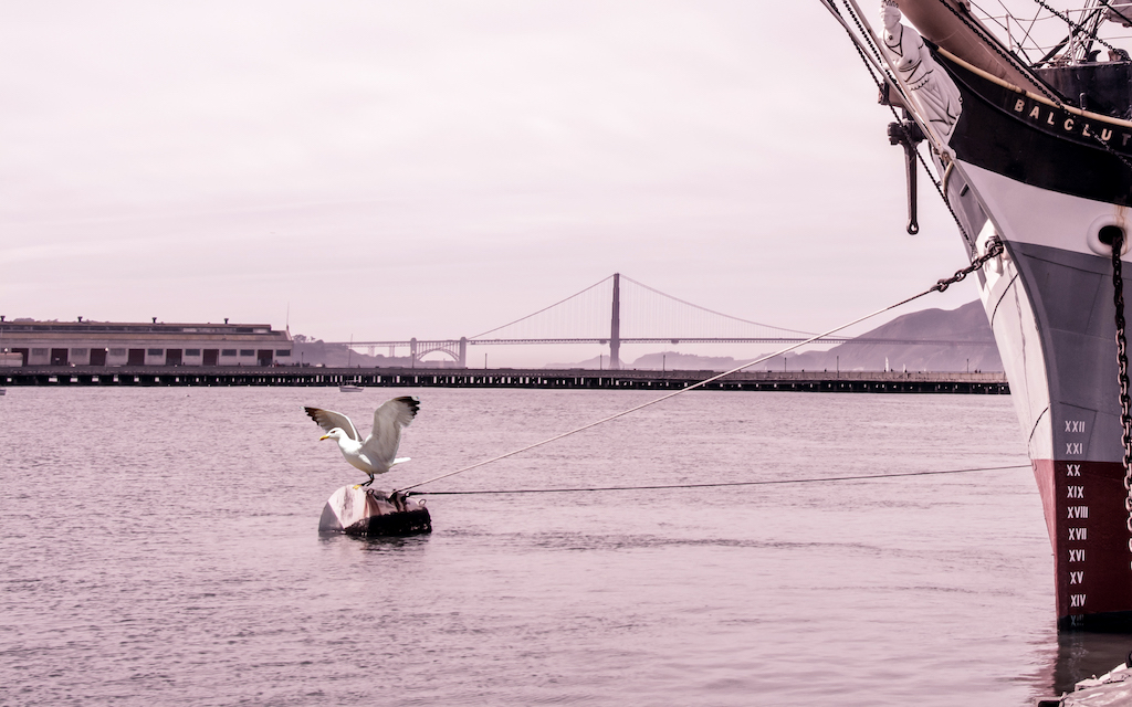 Yan Balczewski, From Hiding to Blogging