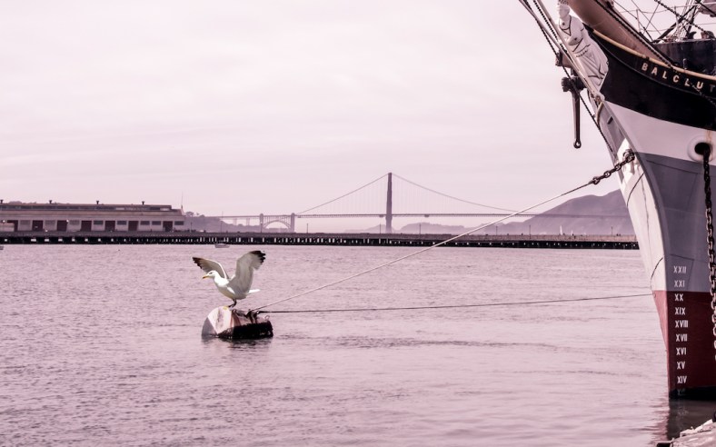 Yan Balczewski, From Hiding to Blogging