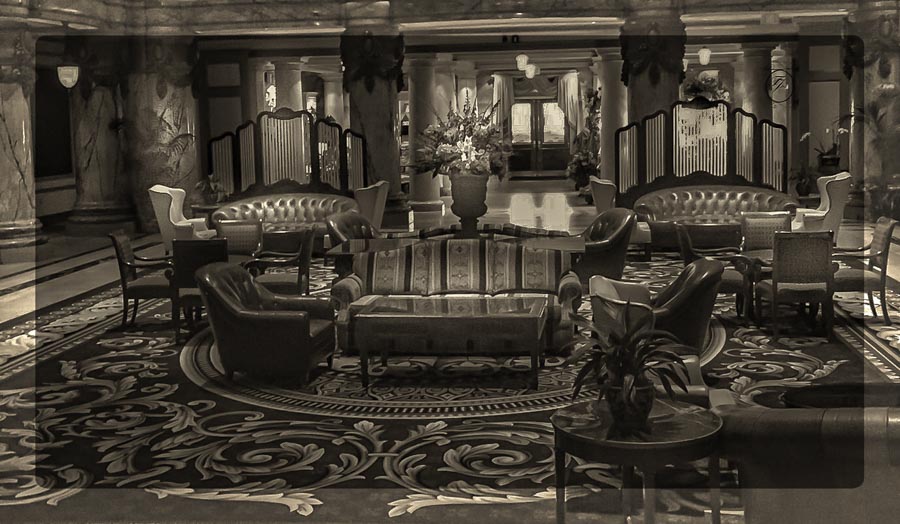 Amy, The World Is a Book