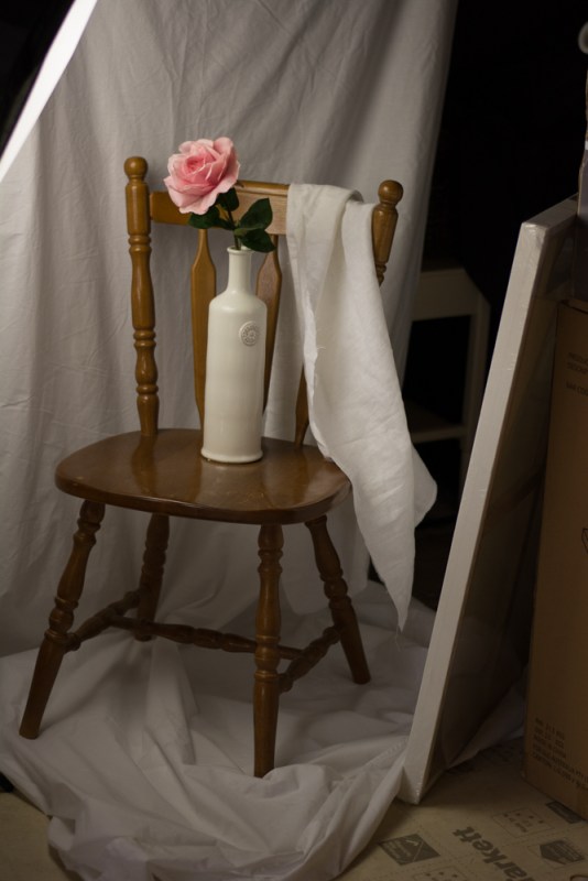 One Photo Focus November 2016 photo