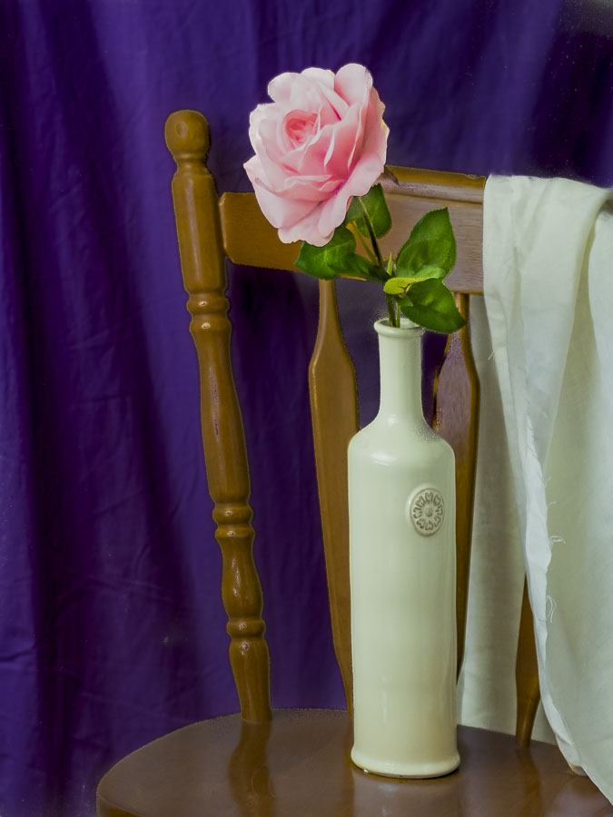 Cee Neuner, Cee's Photography