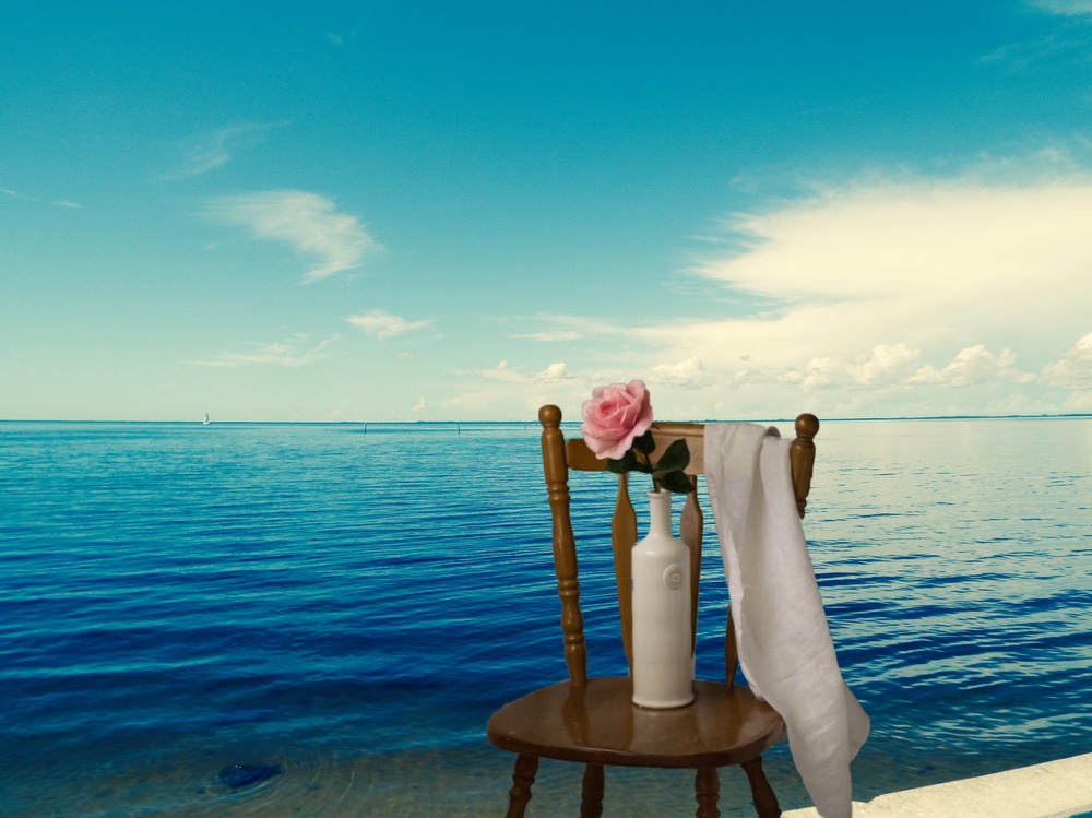 Bud, A Young Retirement