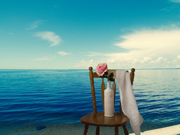 Bud, A Young Retirement